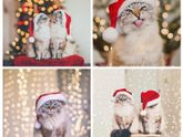 С Наступающим Новым Годом!!!