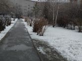 Наша прогулка