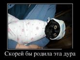 Фотография 2018-10-19 05:50:47