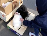 Плохо от алкоголя?