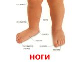 Хруст не унимается , не могу спать........