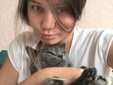 Игровой центр для кошечки и насадки на когти