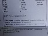 Узи первый скрининг
