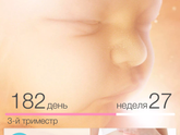 26 недель позади, здравствуй 27-я!