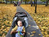 Наша осень 2018 🍁😍