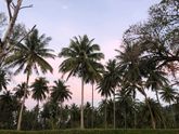 Наш отпуск 🏝🌴☀️