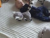 5 месяцев