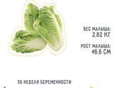 36 недель ❤️ односрочницы, делитесь ощущениями