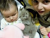 Мои три кисюни