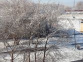 Рубцовск
