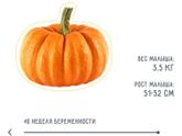 В голове не укладывается