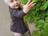 Развлечения на улице?
