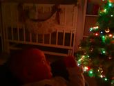 It's the most wonderful time of the year?