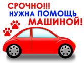 Девочки, понимаю, что не в тему.