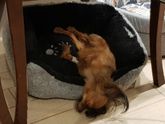 4 выходных и наши приключения.