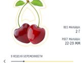 Мои малышам сегодня 9️⃣