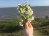 Ездили сегодня кататься☺️погодка радует?
