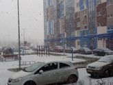 Снежооок❄?