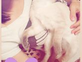 🐈