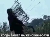 ?