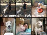 пропал аргентинский ребенок