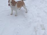 Сегодня мы кайфанули!