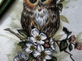 Моя совушка 🦉
