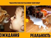 Знакомо??