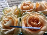 14Дпо🌹всем ярких и заветных