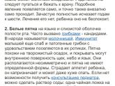Язвочки на языке