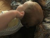 Ваши дети дружат с питомцами?