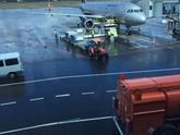 Назад я взяла билет на Utair