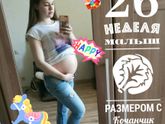 26 неделек ??