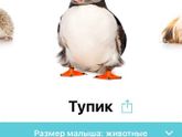 Приложение Беременность+