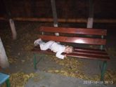 Прогулочка:)
