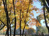 Гулять сегодня - одно удовольствие!🍁🍁🍁