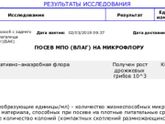 Анализы бак посев