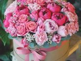 🎁🌹🎂День рождения🎂🌹🎁