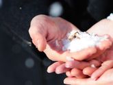 Сегодня уже 3 года