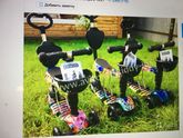 Самокат беговел scooter 5 v1