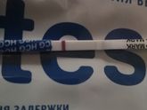 Тест