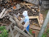 Конкурс детских фотографий. Раунд III