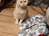 Вот и приехала
