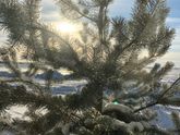 Первый снег🌨️❄️❄️❄️