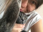 Игровой центр для кошечки и насадки на когти