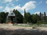 Обеденные прогулки
