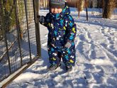 Прогулочки