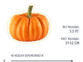 Тыковка))
