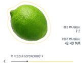 Мое маленькое счастье растёт
