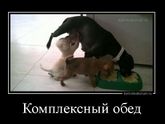 Улыбнуло))))